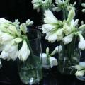 2009 02 17 030.JPG